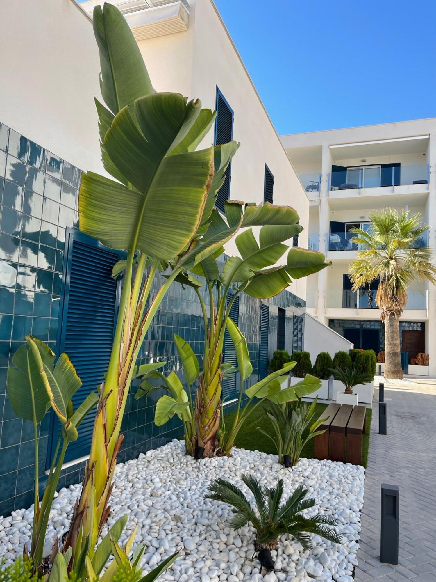 Hola Blanca - Sea, Golf, Chill Apartment Dehesa de Campoamor  Ngoại thất bức ảnh
