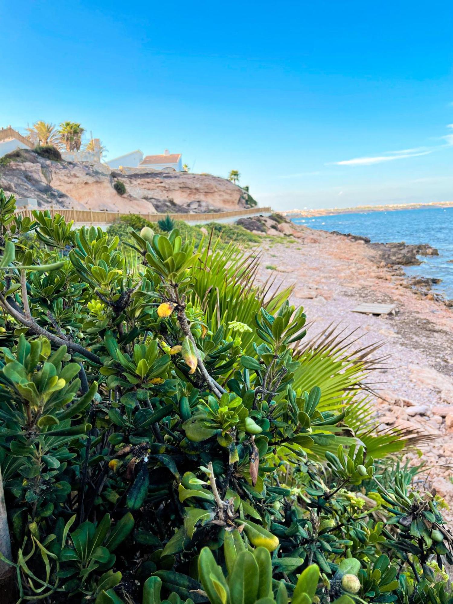 Hola Blanca - Sea, Golf, Chill Apartment Dehesa de Campoamor  Ngoại thất bức ảnh